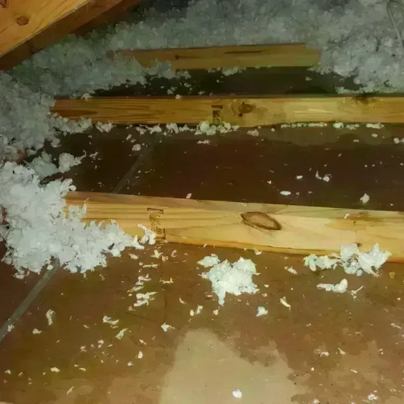 Attic Water Damage in Selah, WA